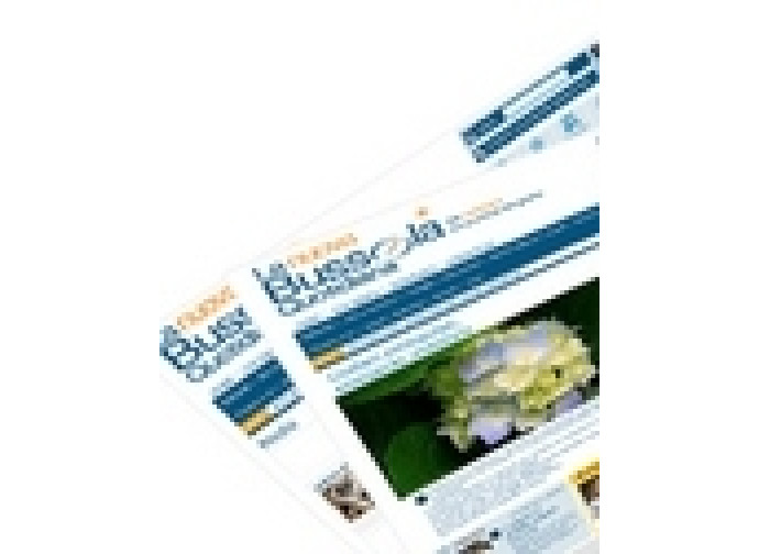 La Nuova Bussola Quotidiana La Nuova Bussola Quotidiana